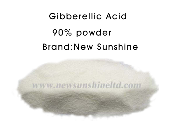 Gibberellic Acid powder 90%
